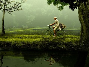 bicicleta-medioambiente