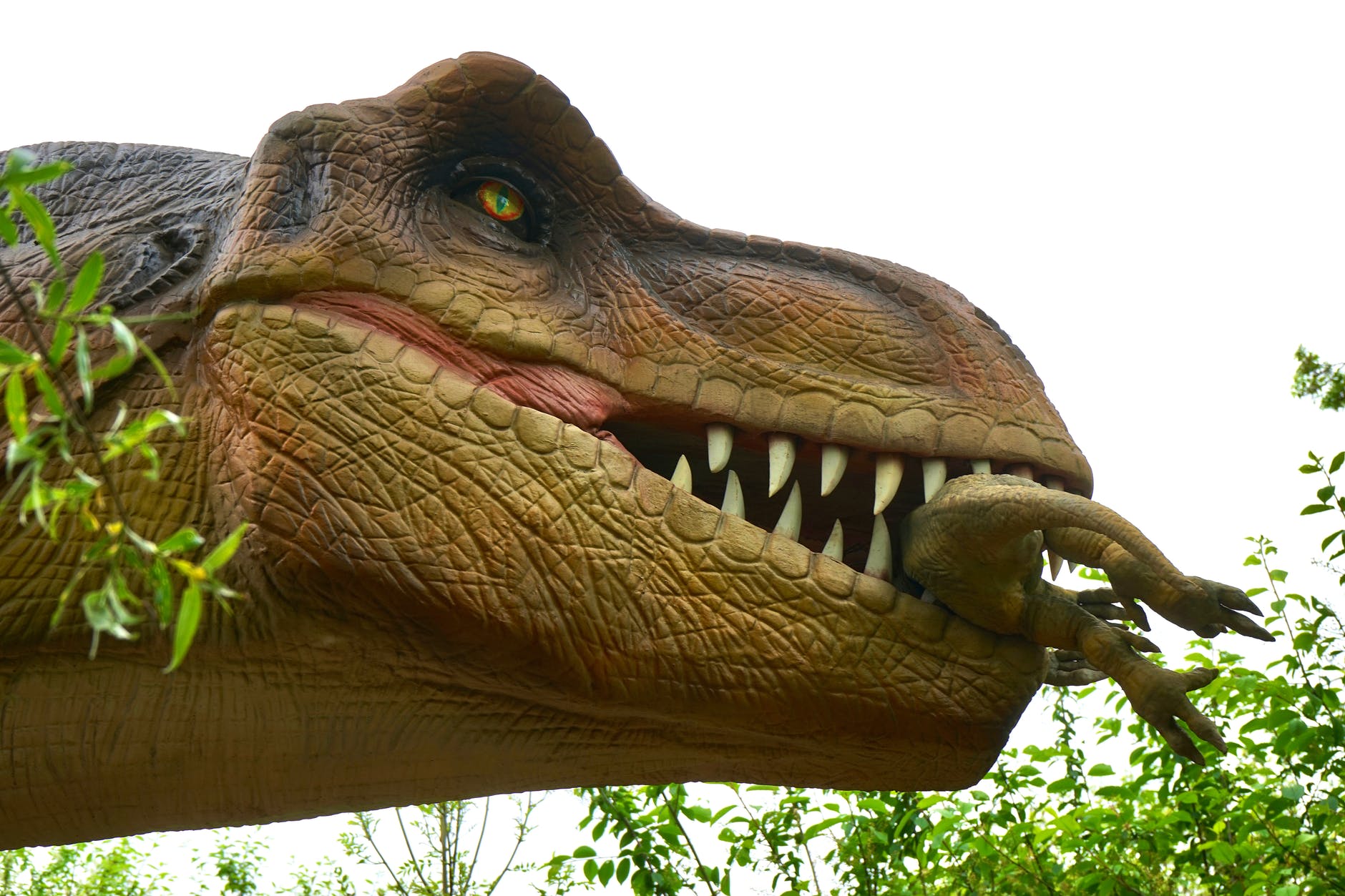 Los dinosaurios llegan a Aguascalientes - Líder Empresarial