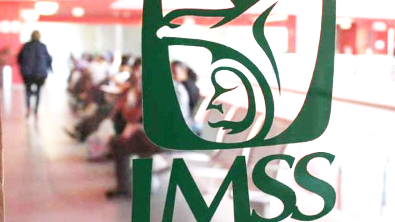 IMSS ofrece a patrones pago en parcialidades simplificado por emergencia  sanitaria - Líder Empresarial