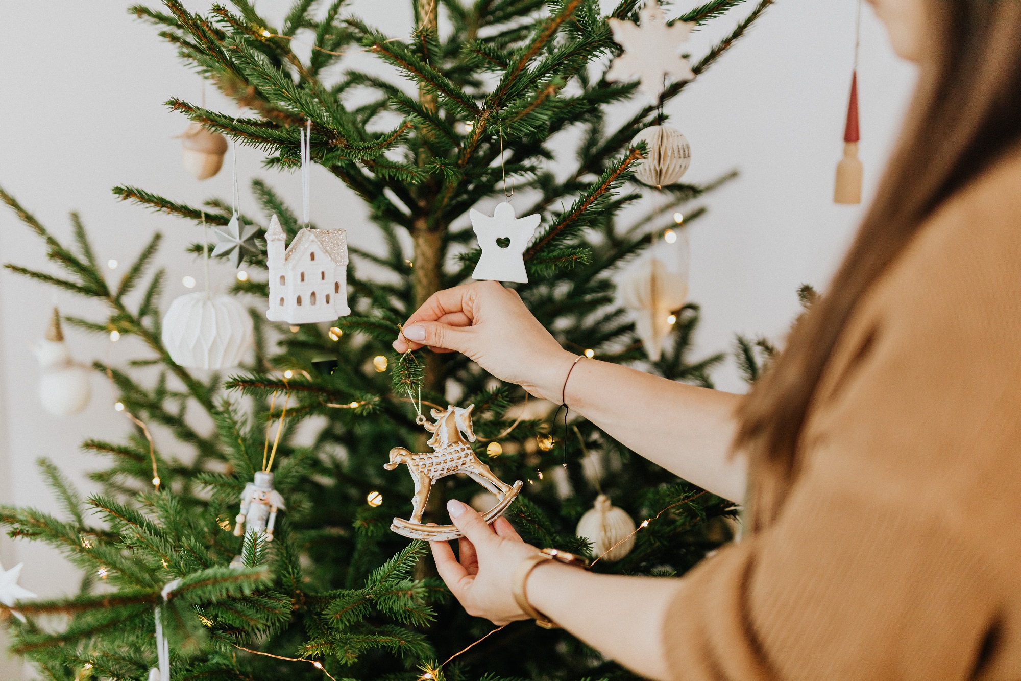 Recicla tu árbol de navidad en León: ¿Cuándo y a dónde llevarlo? - Líder  Empresarial