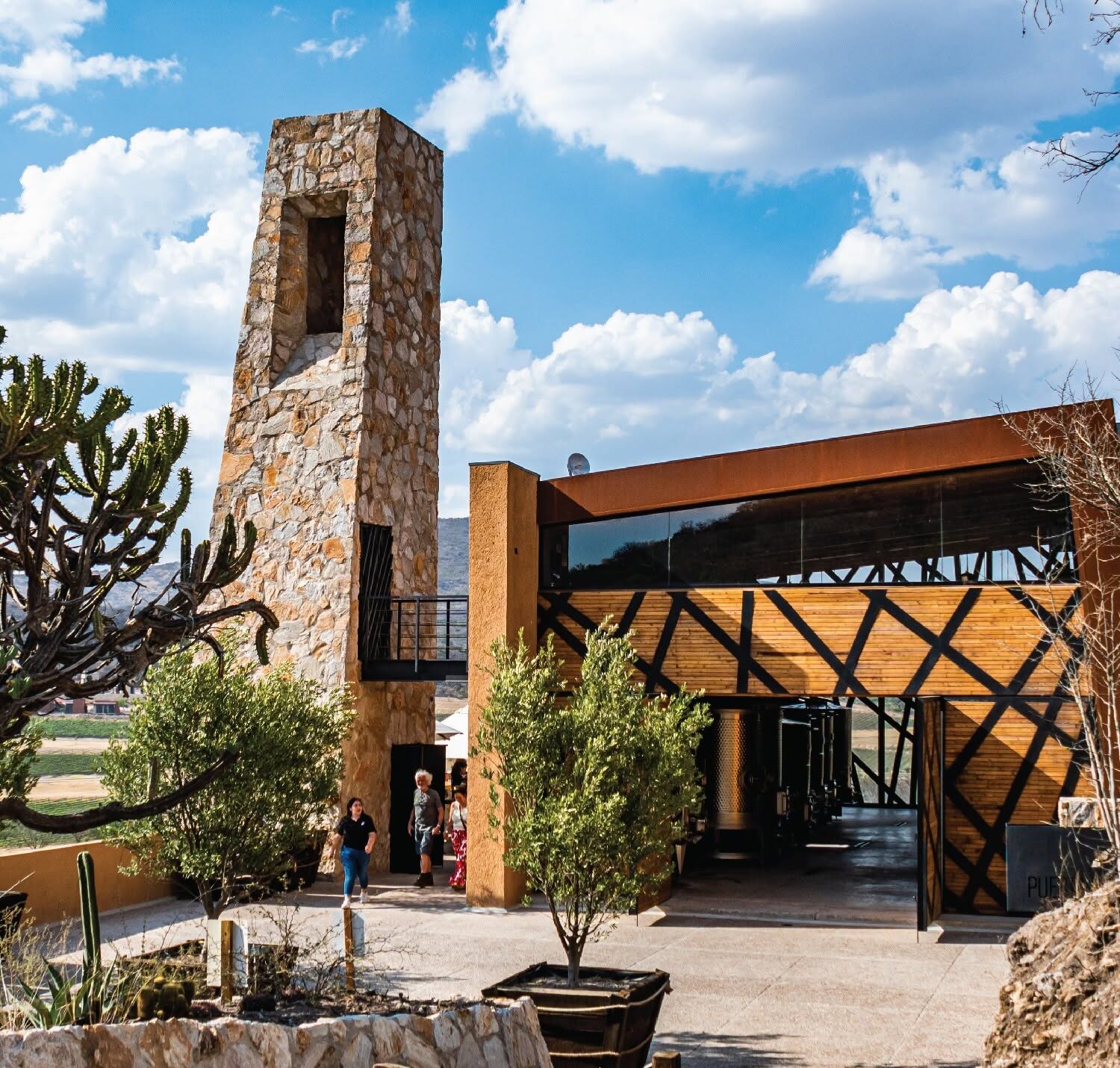 Puerta del Lobo recibe doble reconocimiento por su vino y propuesta de enoturismo